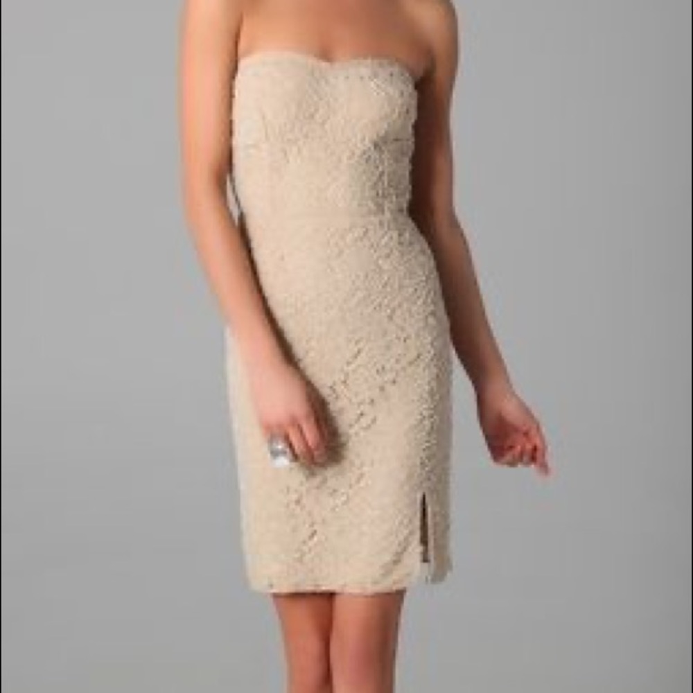 Dallin Chase Irving Strapless Lace Dress